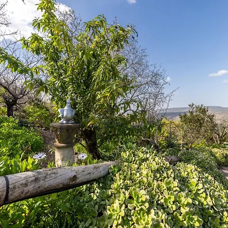 Akivillas Loule