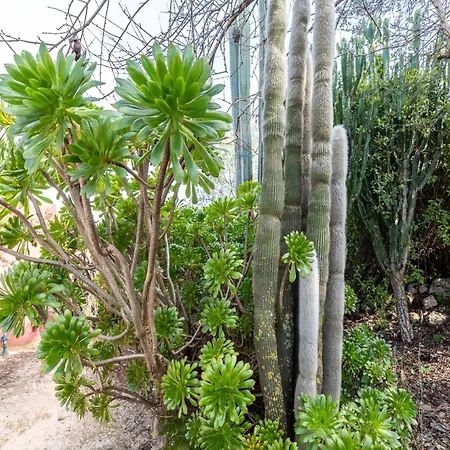 Prázdninový dům Akivillas Loule *