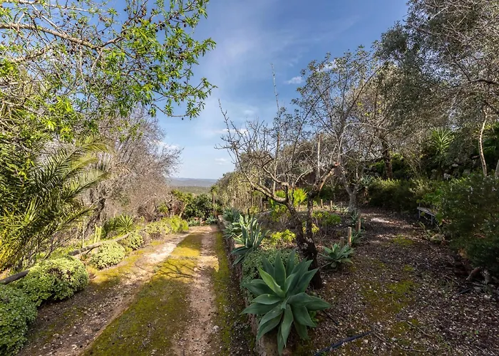 別荘 Akivillas Loule