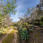 Сasa de vacaciones Akivillas Loulé